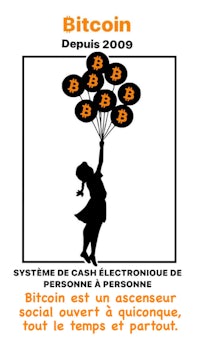 the cover of a book about bitcoin